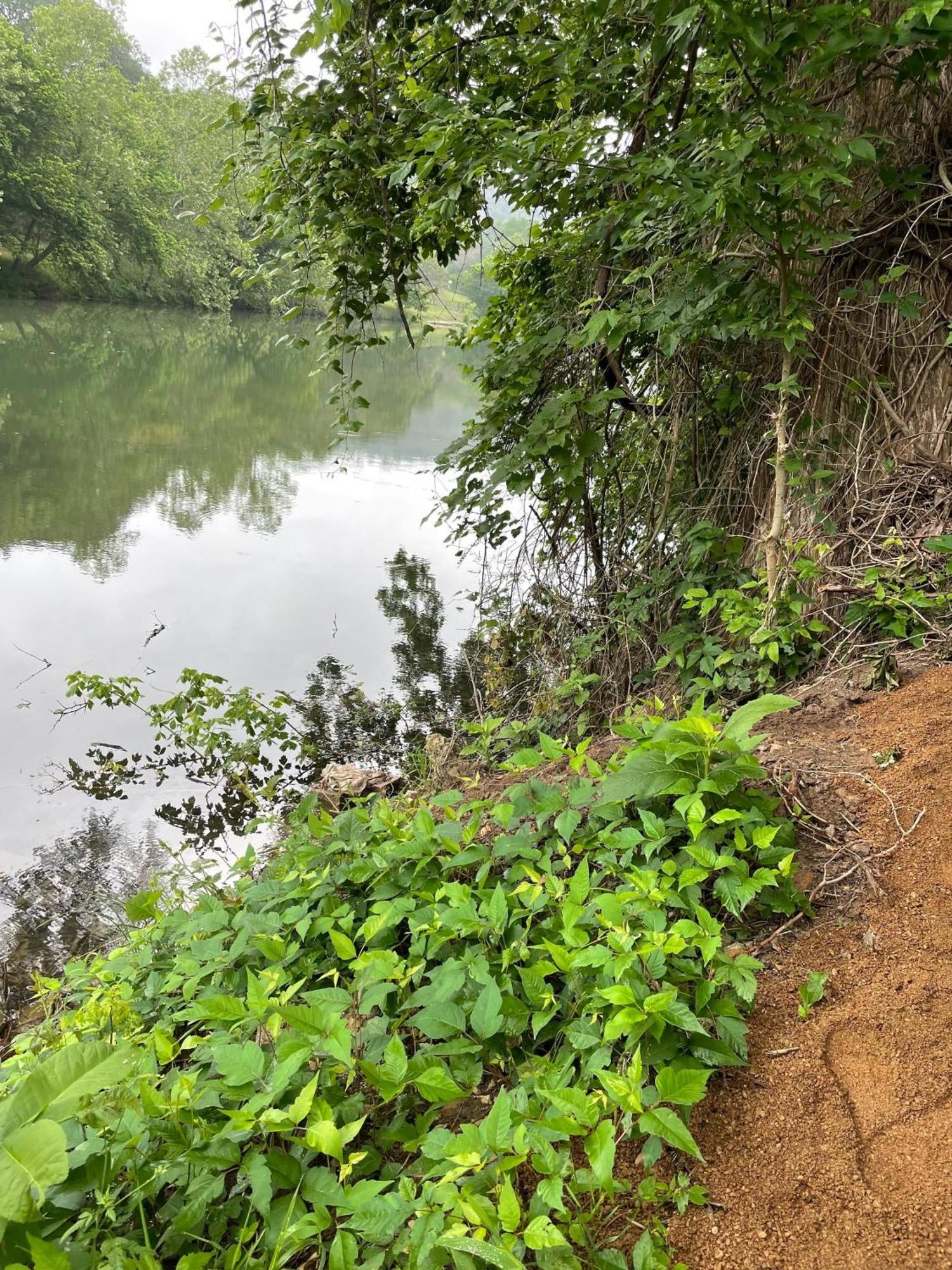 Pet Friendly Tiny House Rental With New Access To Guadalupe River Nbtx New Braunfels Esterno foto